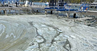 People warned to stay out of Okanagan Valley lake due to algae bloom