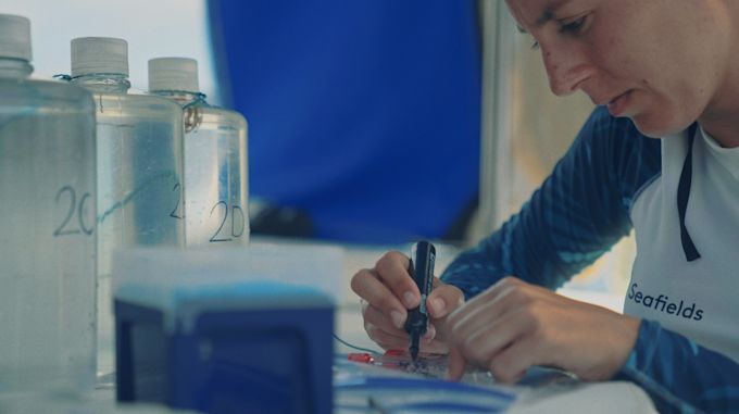 Dr. Mar Fernández-Méndez, lead scientist, analyzing the growth rates of Sargassum samples. (Seafield Solutions)
