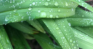 Relentless unsettled pattern keeps Atlantic Canada soggy for days