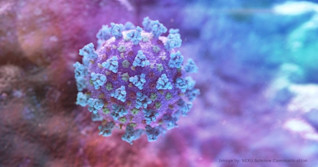 Coronavirus: Here's what's happened so far