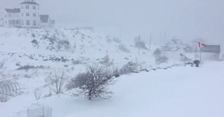 Heavy snow, brutal winds ramp up in Newfoundland, travel not recommended