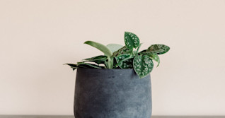 Calgary-based store only sells items made partly from captured CO2