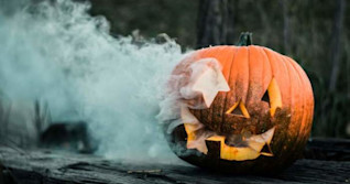 Millions of tonnes of pumpkins wasted annually: Here's how to reduce waste
