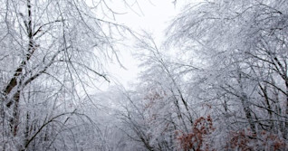 Cocktail météo : conditions routières difficiles