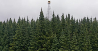 The guardian of Blackville's tallest historic landmark