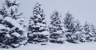 IN PHOTOS: Snow squalls blast part of southern Ontario
