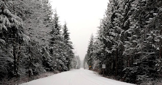 PHOTOS: Wintry mess hits B.C., roads impacted by snow, rain