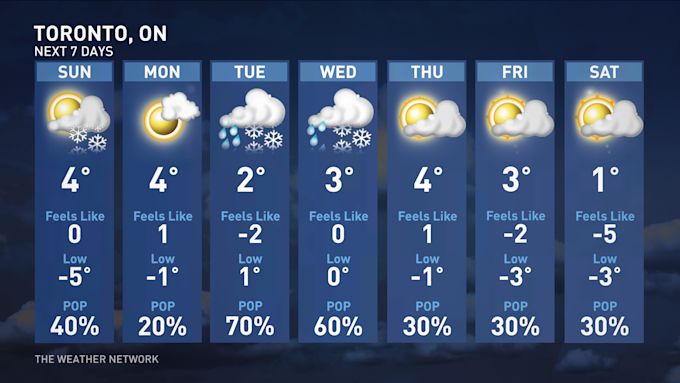 Tor7day