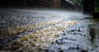 Week-end gris en vue : pas besoin d'arroser les jardins