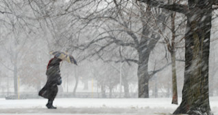 Debilitating blizzard, howling winds target Labrador & Newfoundland