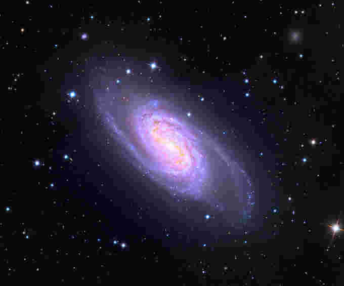 Spiral galaxy NGC 2903