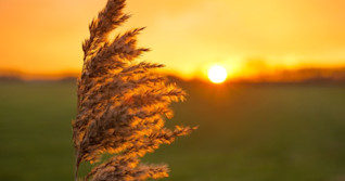 Une semaine presque sans fausse note
