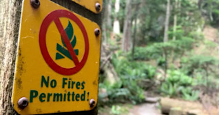 B.C. campfire enforcement service says 'people aren't getting it'