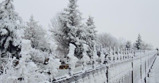 Bitter chill incoming for the Prairies after quick weekend snow