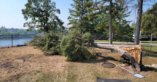 Manitoba town pelted by golf ball-size hail, winds bent trees 'like a toothpick'