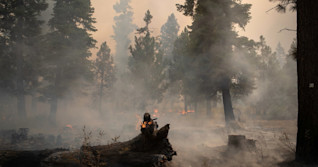 Rain brings relief to fire-ravaged Oregon as death toll rises in California