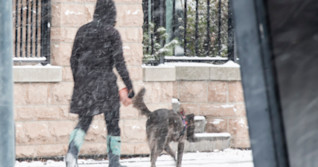 Warming trend on the horizon for the Prairies, but wintry weather isn't over yet