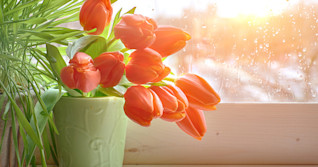 Flowers smell because they have an important job to do, according to science