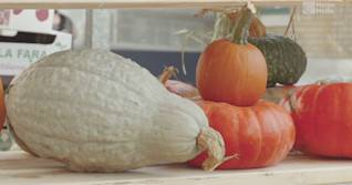 Courges en folie !