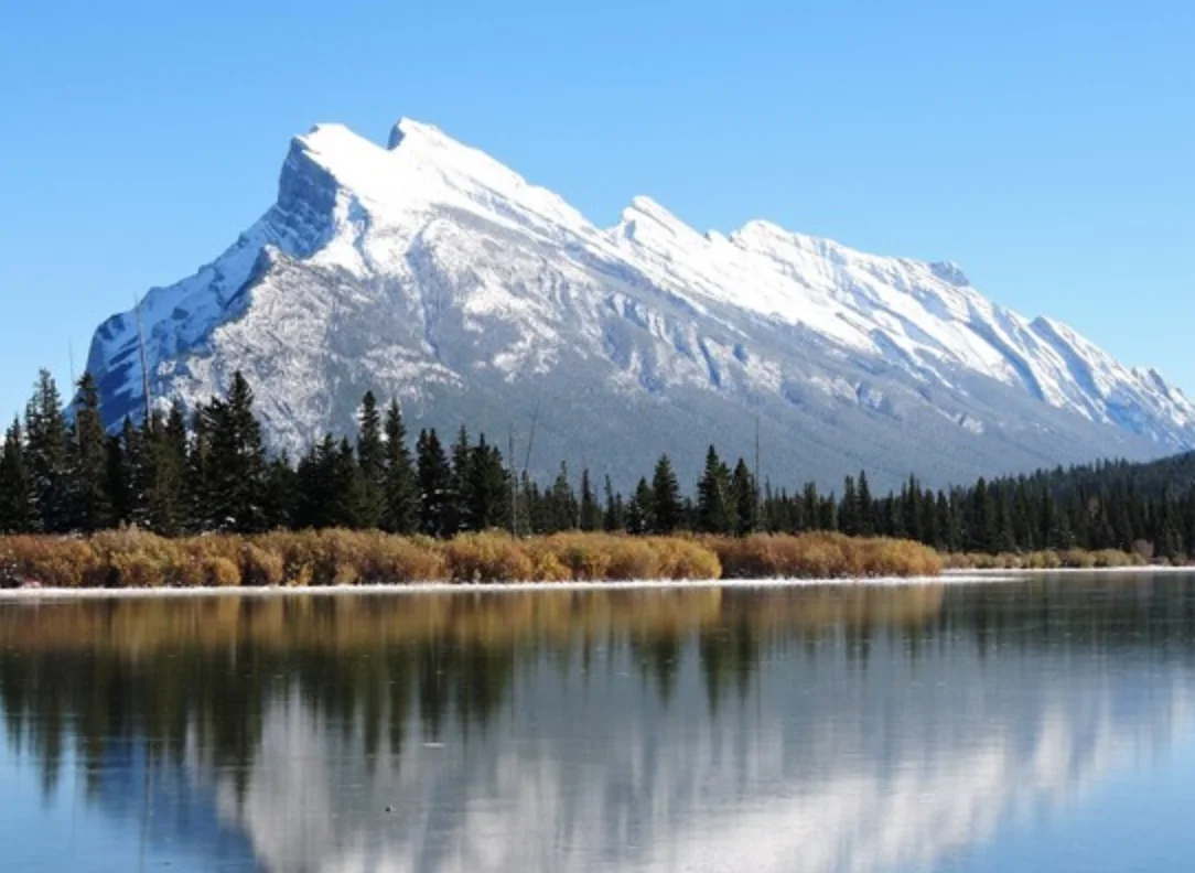 Here are Canada's political parties' views on the environment