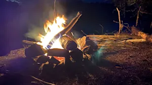 Campfires to be banned across B.C.'s South Coast amid warm spring weather