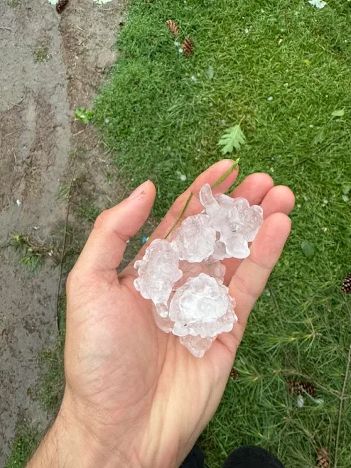 Quebec, Hail, Storm, Thunderstorm, Rain, July 24, 2025. (Sent to MM by Jean-Philippe Thisdale)
