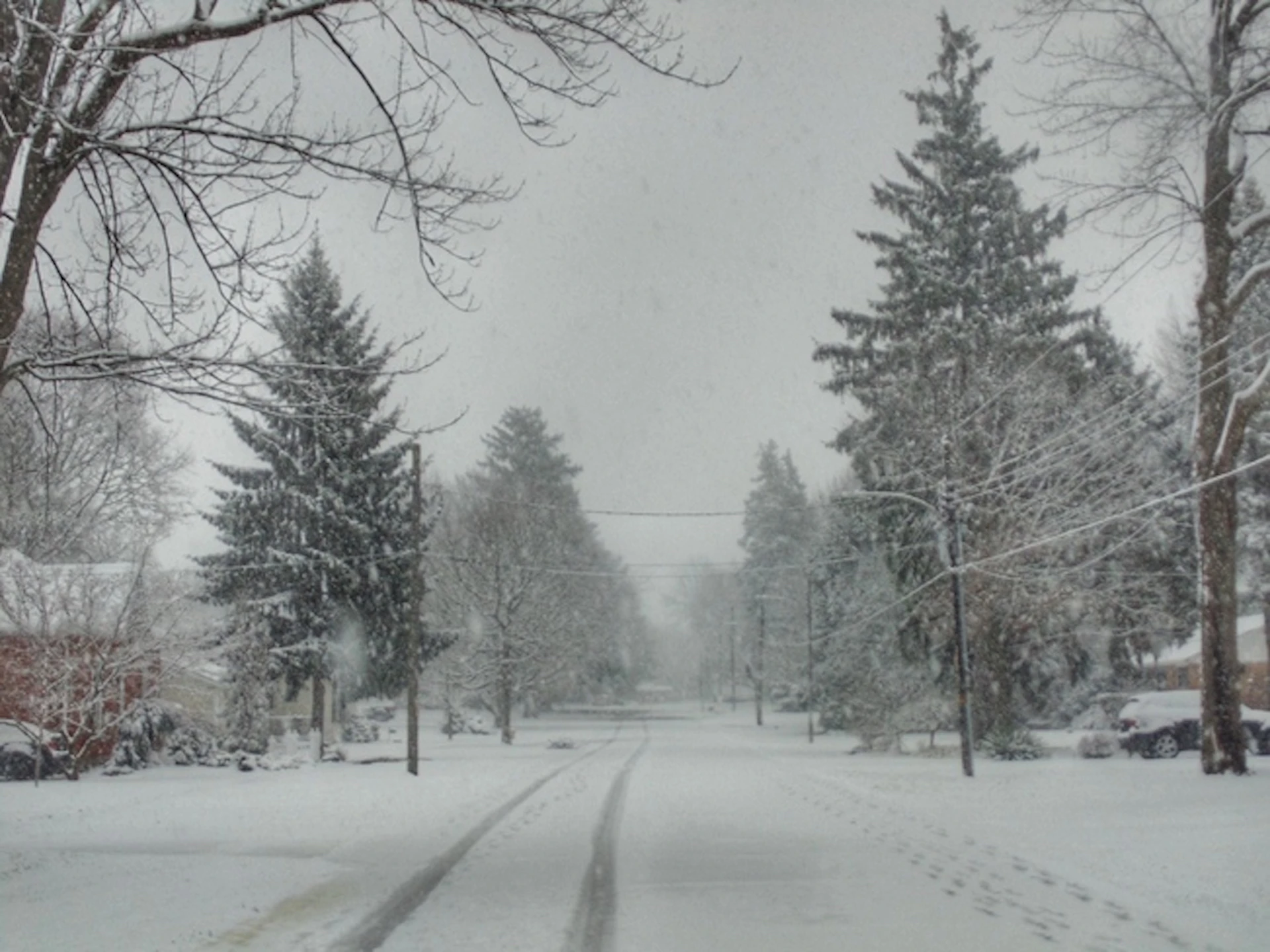 Snowvember? When Canada saw notable wintry weather ahead of schedule