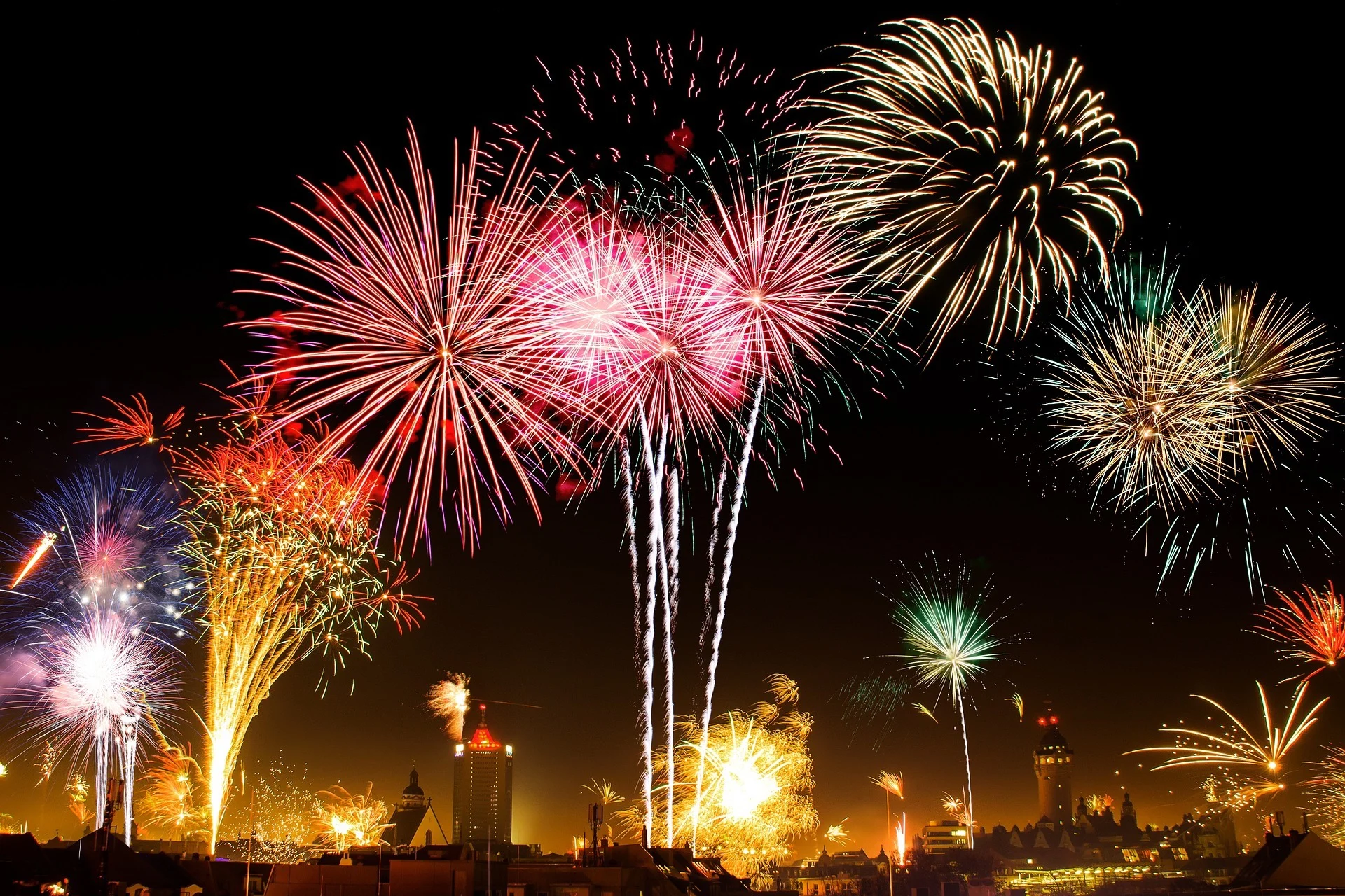 Feux artifice et animaux 2