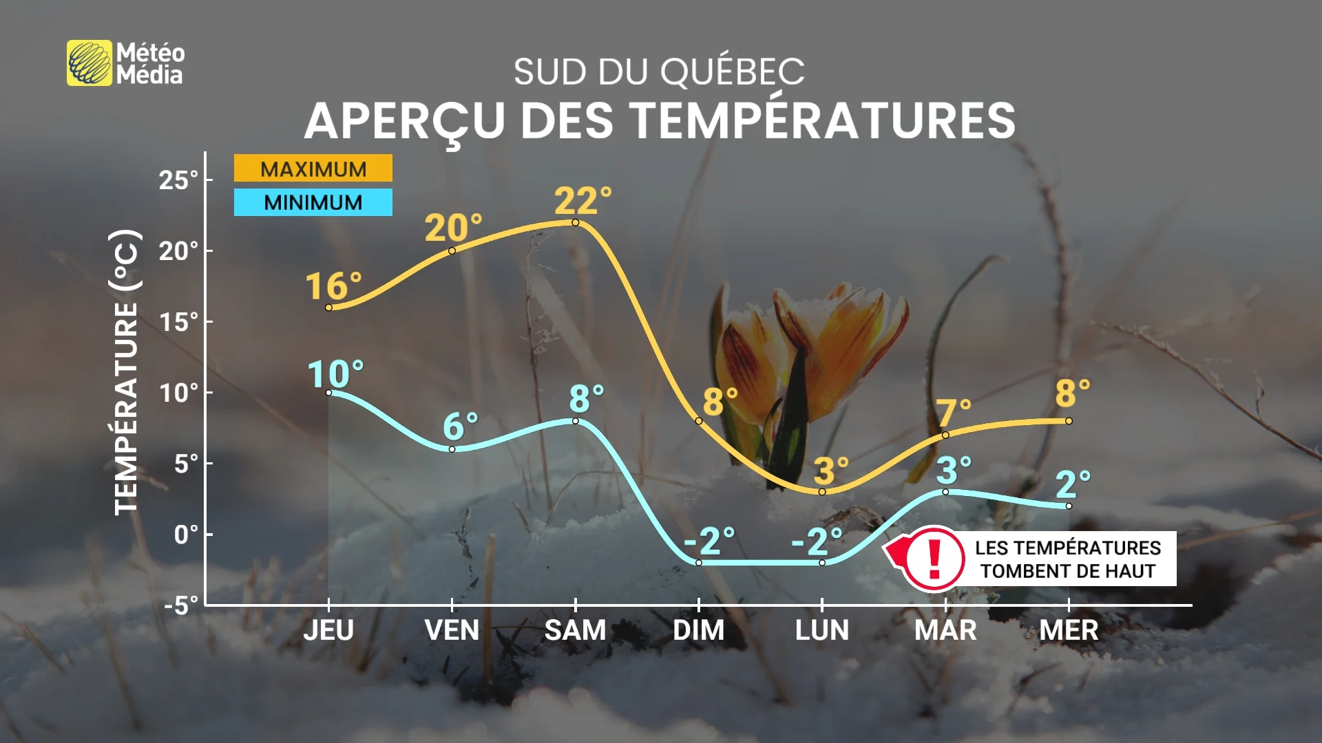 FROID3 (3)
