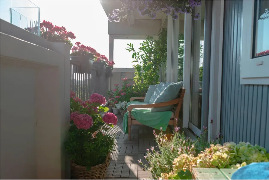 Grow a summer garden on your balcony, patio or porch with 5 easy tips