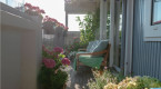 Grow a summer garden on your balcony, patio or porch with 5 easy tips