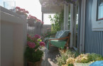 Grow a summer garden on your balcony, patio or porch with 5 easy tips
