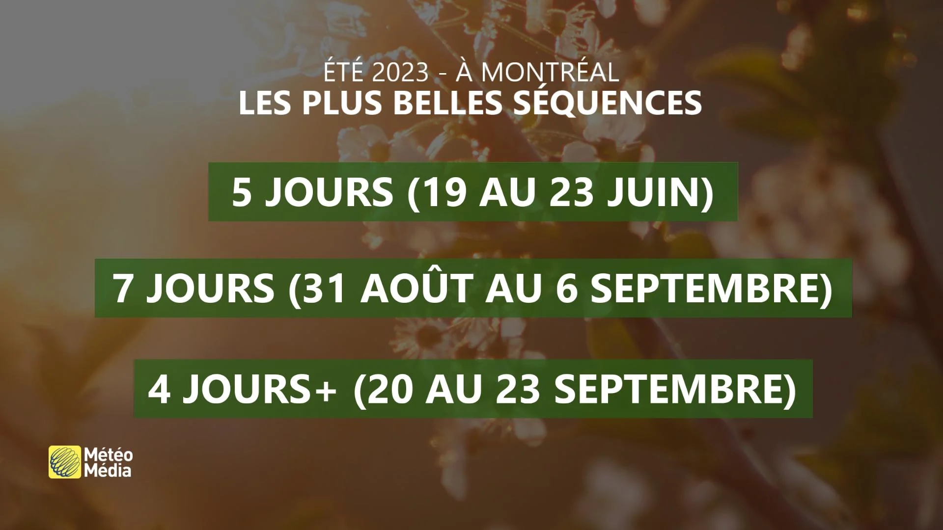 LT2 BELLES SÉQUENCES
