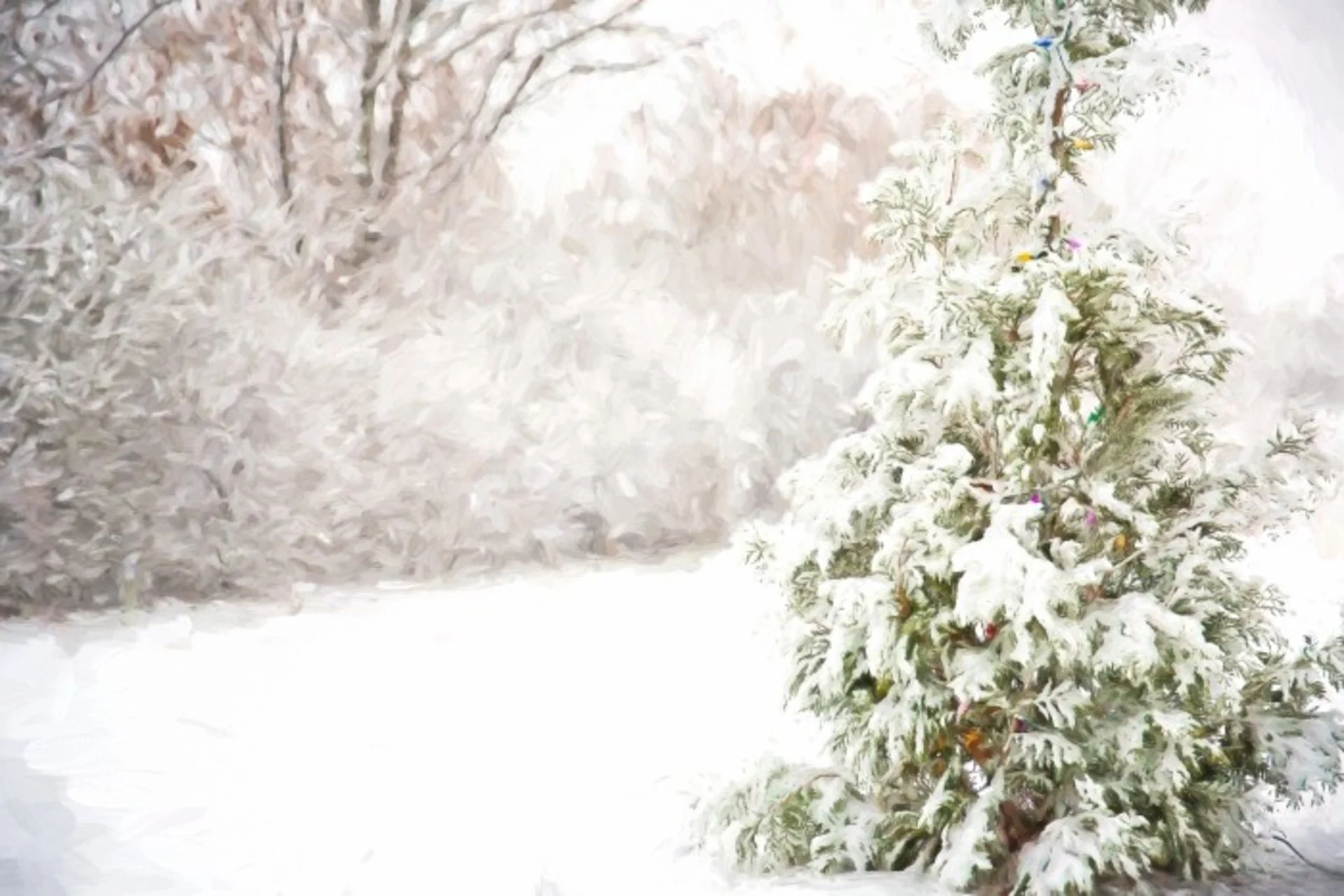 NEIGE JAUNE 3