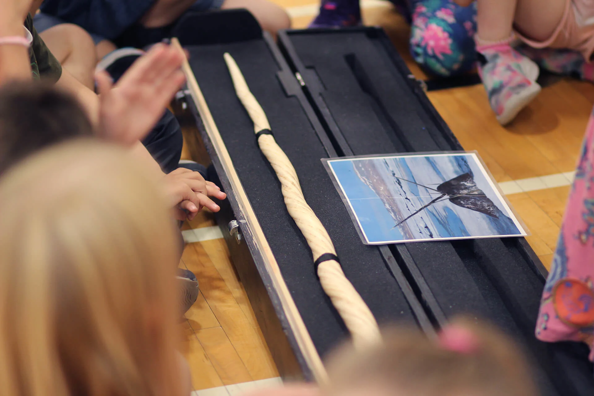 Ever seen narwhal tusk? It's one of the more magical moments the kids get to experience. (Rachel Maclean)