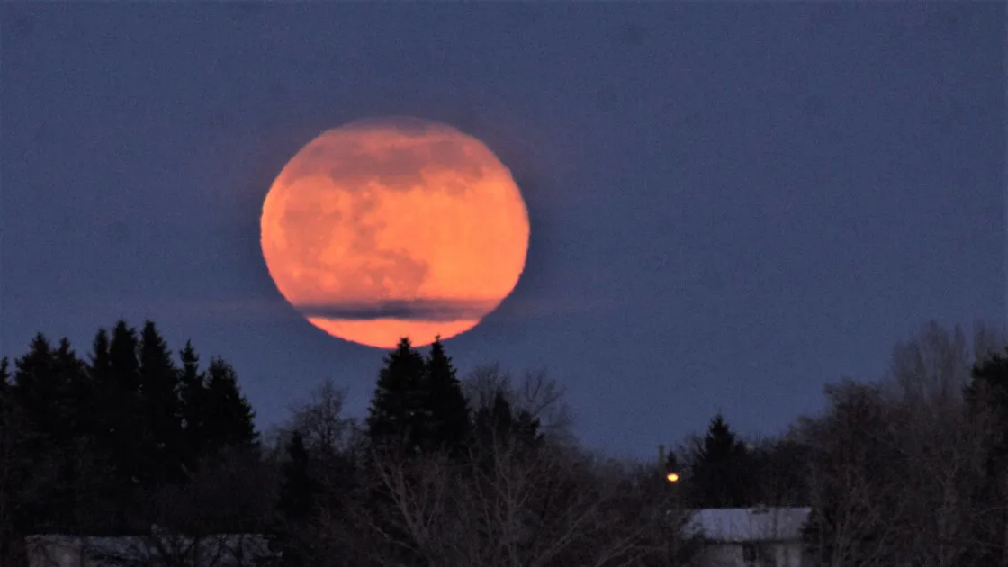 Look up! The Full Worm Moon rises tonight