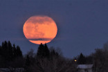 Look up! The Full Worm Moon rises tonight