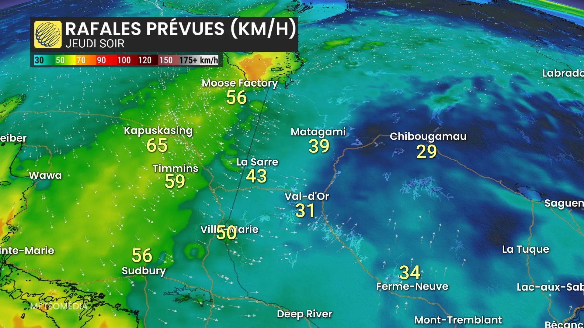 TEMPETE5