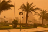 Tempête de poussière : plus de 5 000 personnes hospitalisées