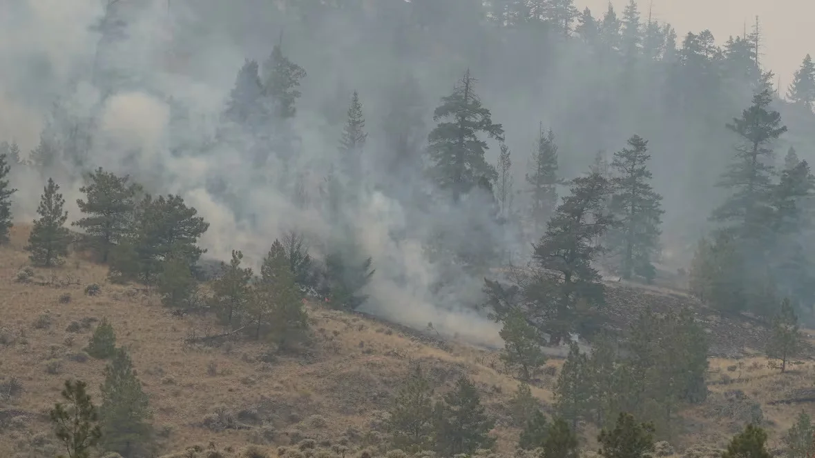 CBC: The Shetland Creek wildfire has forced thousands of people to be put on evacuation alert. (Tom Popyk/CBC)