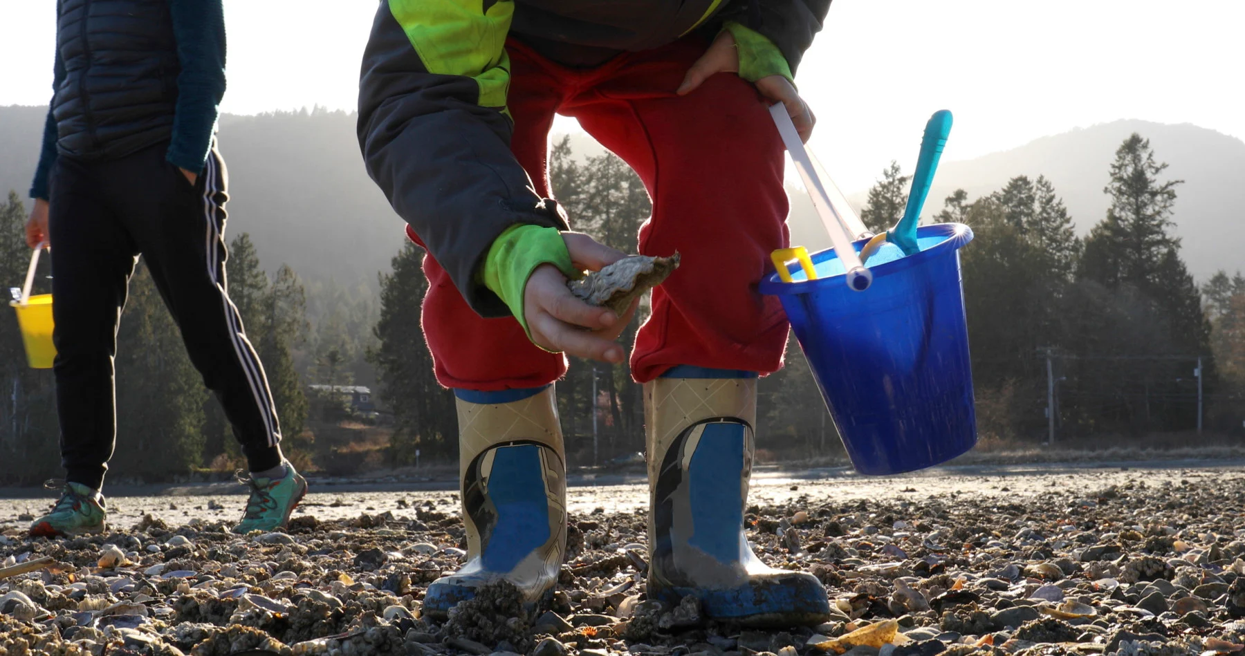 A child searches for oysters on a tidal flat in British Columbia. (Ascent/PKS Media Inc./ Photodisc/ Getty Images)