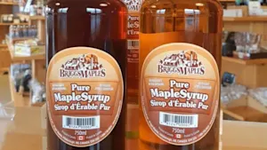 Maple syrup harvesters in New Brunswick have concerns over less sap this year due to 2025 drought