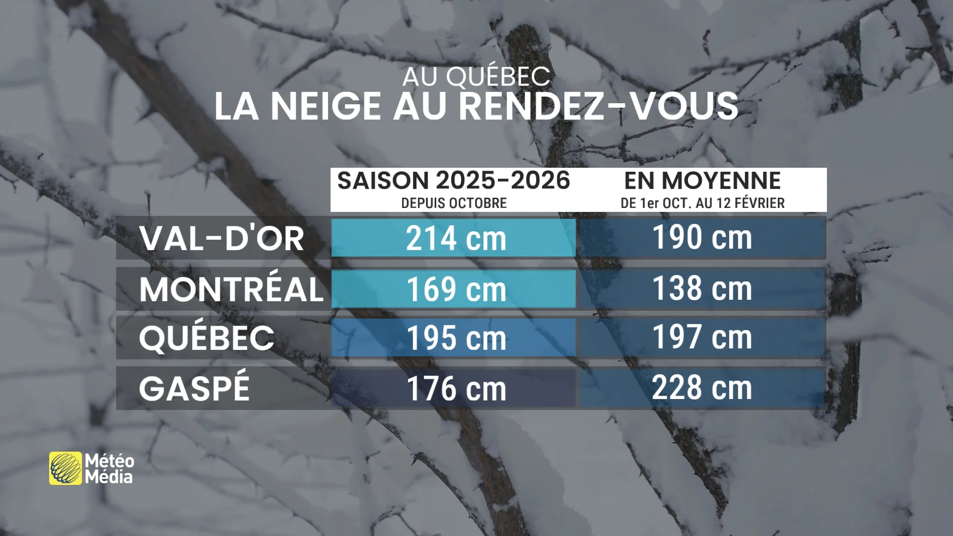 neige recue vs normale