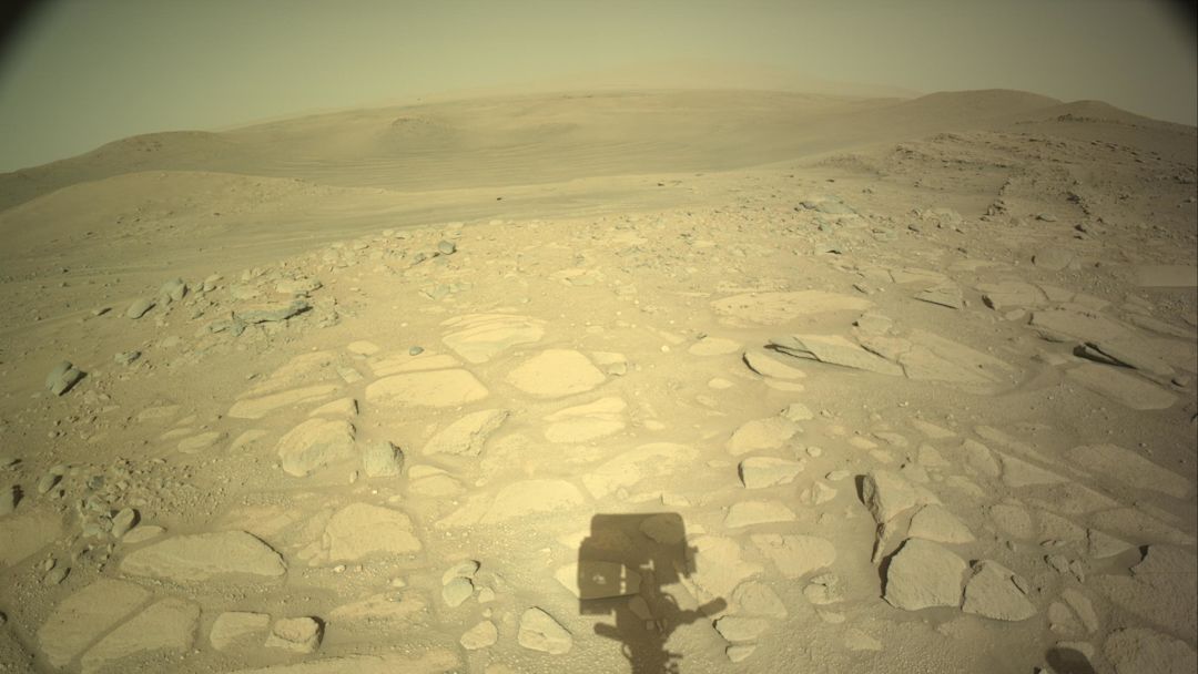 NASA's Perseverance rover lost its pet Martian rock - The Weather Network