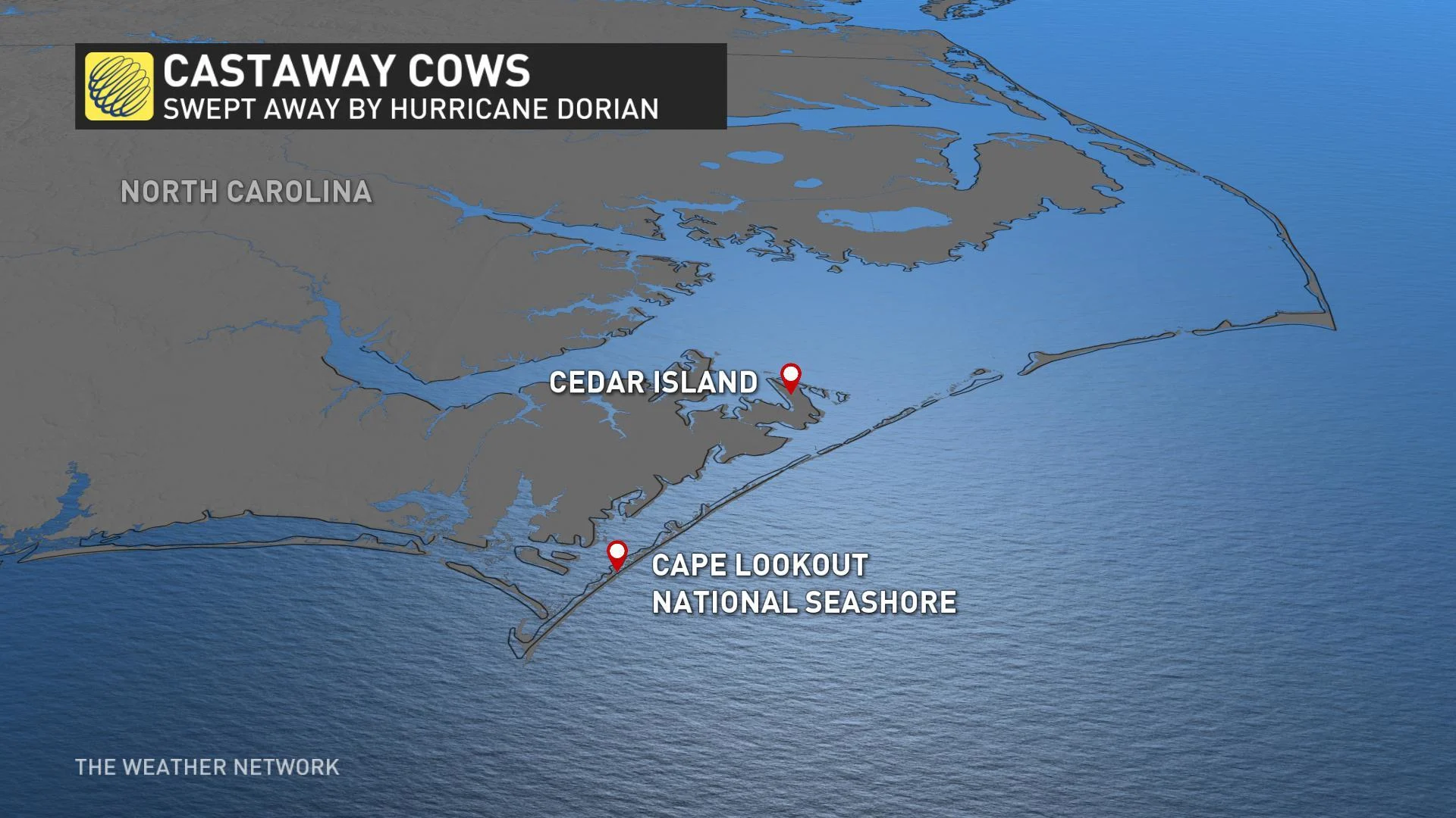 cowstaways