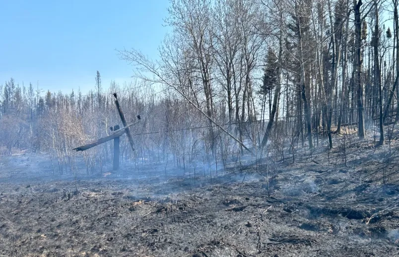 Charred hydro poles and trees are seen near Cranberry Portage - Brittany Greenslade - CBC