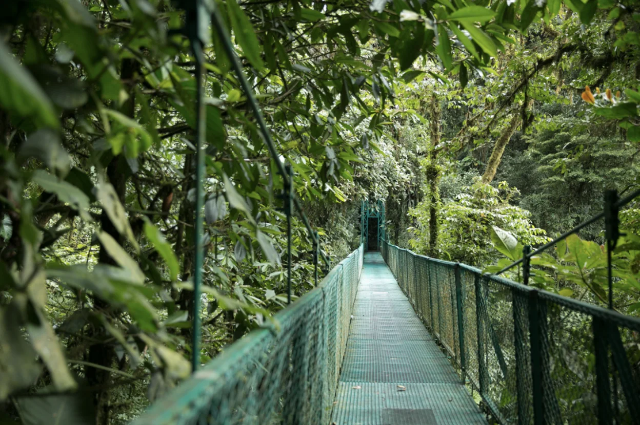 Credit: Collette  - Costa Rica's tropical rainforests