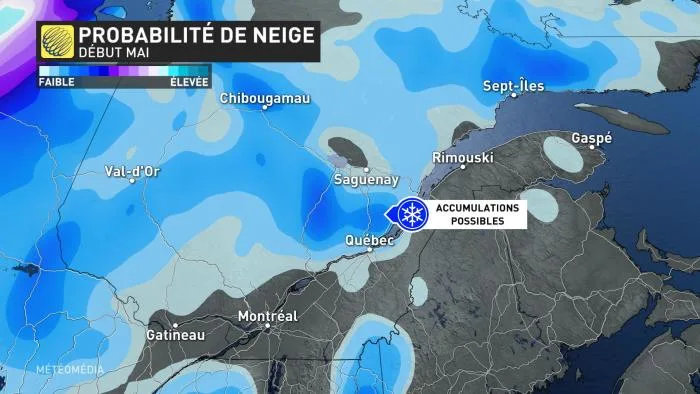 MT4 NEIGE