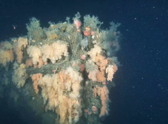 Canadian Geographic - Underwater images show the bow of Quest covered in coral