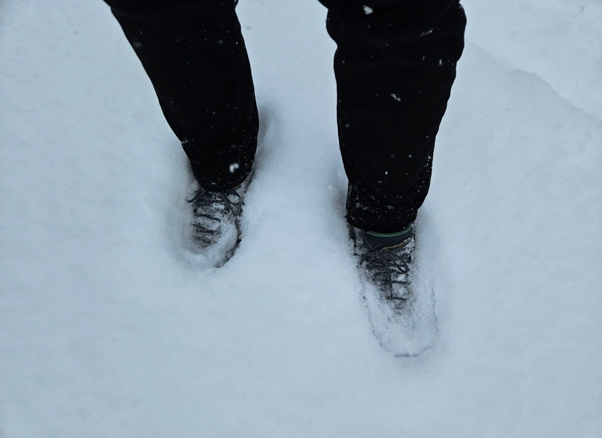Connor O'Donovan: Heavy springtime snow in Edmonton, Alberta. March 28, 2025 - 5